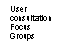 Text Box: User consultation Focus Groups