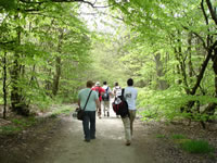 Make a note of forthcoming walking events 