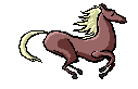 horse picture