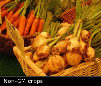 Non-GM crops