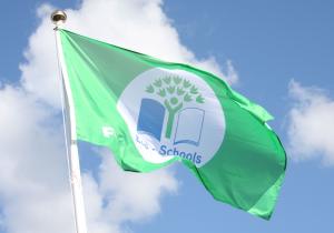The council will work with schools to help them reduce the amount of energy they use