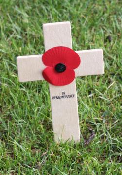 The Field of Remembrance will open on Thursday 8 November