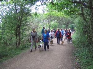 A popular 'dog owners' walk during a previous festival