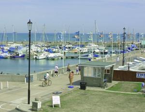 Ryde Harbour could be sold under the plans